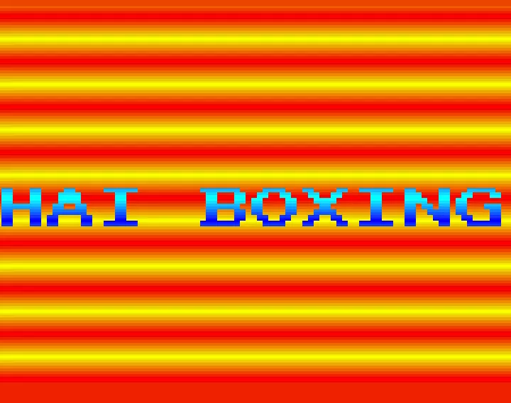 Thai Boxing