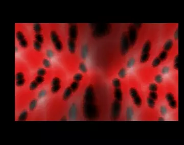 Discotto (2007) by Nature
