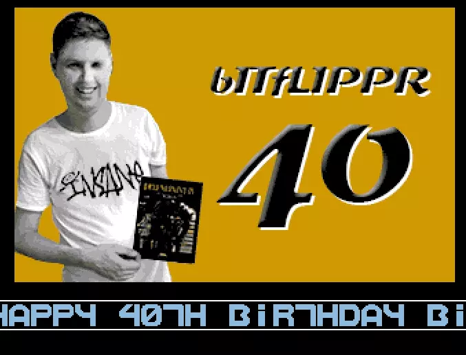 Bitflippr 40