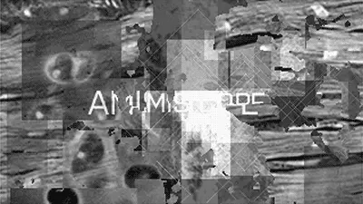 Amis Cope (2019) by Satori