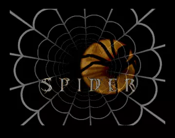 Spider