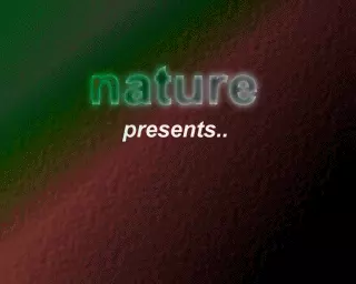 Standard Raise 2 (1999) by Nature